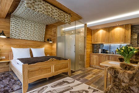 Apartament Modrzewiowy typu studio